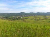 Лот: 5352899. Фото: 6. ДНТ "Тессели" д.Кузнецово участок...