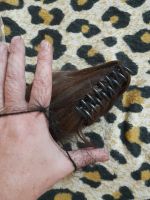 Лот: 25884995. Фото: 2. Шиньон. Красота и здоровье