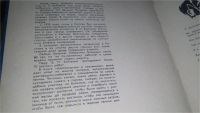Лот: 10772460. Фото: 3. Цветоводство и озеленение, Е.Бойченко... Литература, книги