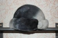 Лот: 8678676. Фото: 3. Шапка норковая женская. Одежда, обувь, галантерея