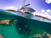 Лот: 11336012. Фото: 3. Go Pro 4 Black Edition. Красноярск