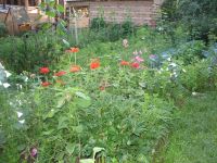 Лот: 4157692. Фото: 2. Участок с.Сосна-2 ст.Пугачево. Продажа