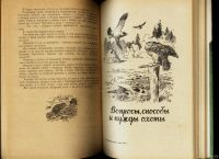 Лот: 16457592. Фото: 6. Охотничьи просторы. Альманах...