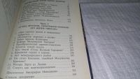 Лот: 11861489. Фото: 4. оз Александр Меншиков. Царевич...