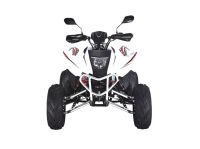 Лот: 25659147. Фото: 3. Квадроцикл RATO RТ250SТ-2. Авто, мото, водный транспорт