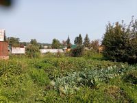 Лот: 14391322. Фото: 3. Участок дачный. Недвижимость