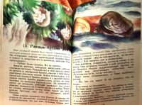 Лот: 25678755. Фото: 8. Шкаликов Владимир - Пегасик...