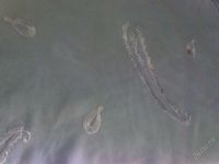 Лот: 1119086. Фото: 3. Женский палантин(светло-голубой... Одежда, обувь, галантерея