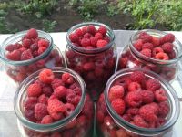Лот: 20596686. Фото: 2. Малина (цена за 5 литров +доставка... Продукты