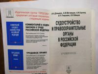 Лот: 15504823. Фото: 2. Судоустройство и правоохранительные... Общественные и гуманитарные науки