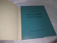 Лот: 19700968. Фото: 2. Басина М. Сквозь сумрак белых... Литература, книги