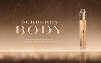 Лот: 7872452. Фото: 4. Body Gold Limited Edition от Burberry... Красноярск
