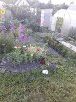 Лот: 20723591. Фото: 2. Продам дачу. Продажа