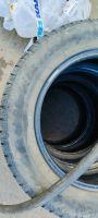 Лот: 20828799. Фото: 2. Шины зимние шипованные bridgestone... Шины, Диски
