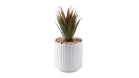 Лот: 24700273. Фото: 5. Растение искусственное Succulente...
