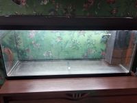 Лот: 16050363. Фото: 5. Аквариум