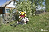 Лот: 8599895. Фото: 4. Двухэтажная дача в п. Таежный. Красноярск
