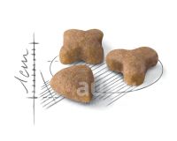 Лот: 20335034. Фото: 2. Royal Canin Sensible (Роял канин... Животные и уход