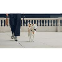 Лот: 21438664. Фото: 4. Чехол для брелока Moshi AirTag... Красноярск