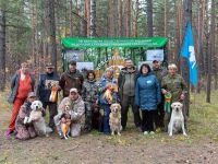 Лот: 24615426. Фото: 4. Щенки бигля от рабочих родителей. Красноярск