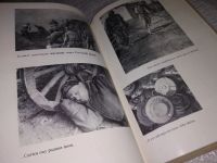 Лот: 11761314. Фото: 12. Гвардейцы Сталинграда идут на...