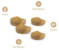 Лот: 10857503. Фото: 2. Корм Royal Canin для британских... Животные и уход