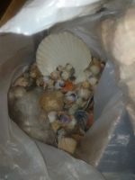 Лот: 10435682. Фото: 2. ракушки с черного моря. Аквариумистика