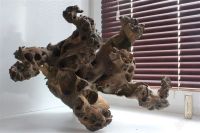 Лот: 2117306. Фото: 2. Коряга. Пентхаус рыбий!. Аквариумистика