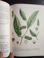 Лот: 16946681. Фото: 2. Муравьева Д.А., Гаммерман А.Ф... Наука и техника