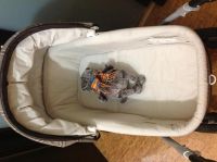 Лот: 4812858. Фото: 6. Коляска-люлька Peg Perego Cull...