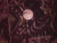 Лот: 3897320. Фото: 7. монеты