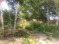 Лот: 16352212. Фото: 4. Продается дом 101 кв.м. 8 сот... Красноярск