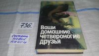 Лот: 5869989. Фото: 8. Ваши домашние четвероногие друзья...