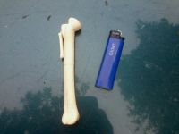 Лот: 7782711. Фото: 3. ручка косточка шориковая ссср. Коллекционирование, моделизм