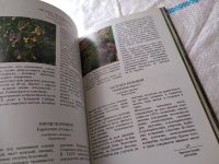 Лот: 5297410. Фото: 18. Лекарственные растения СССР: Культивируемые...