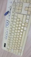 Лот: 9187396. Фото: 2. Клавиатура. Белая Черная. Северный... Периферия