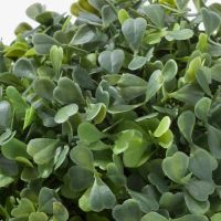 Лот: 12841953. Фото: 2. Растение искусственное, для дома... Цветы, букеты