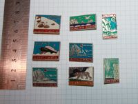 Лот: 25665721. Фото: 2. Набор значков: Арктика. КФС. 8... Значки, медали, жетоны