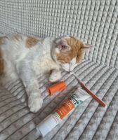 Лот: 25507388. Фото: 5. Зубная паста для котиков новая
