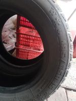 Лот: 10376139. Фото: 3. Пара Rosava WQ-102 195/65 r15... Авто, мото, водный транспорт