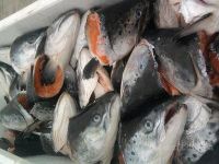 Лот: 6487591. Фото: 2. Головы семги. (лосось). Продукты