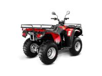 Лот: 25659323. Фото: 4. Квадроцикл LONCIN 250. Красноярск