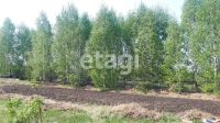 Лот: 25288855. Фото: 9. 1-комн. дача , село Частоостровское...