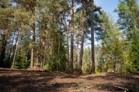 Лот: 4978618. Фото: 16. Участки у леса и реки в поселке...