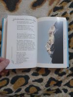 Лот: 25316018. Фото: 4. Книга Ю. Ключников