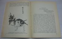 Лот: 16818793. Фото: 3. Музруков Г.Н. Ниндзя: воины–тени. Литература, книги