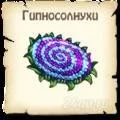 Лот: 1486774. Фото: 2. Серьги Гипносолнухи. Ювелирные изделия, бижутерия, часы