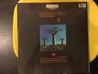 Лот: 10331783. Фото: 2. Pink Floyd 2lp n/mint nm. Коллекционирование, моделизм