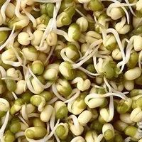 Лот: 13221388. Фото: 2. Пажитник ( хельба, шамбала, фенугрек... Продукты