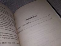 Лот: 18333244. Фото: 3. Щукин Михаил, Покров заступницы... Красноярск